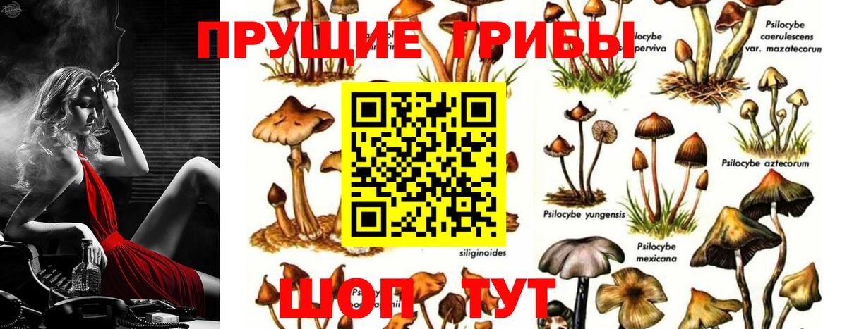 Галлюциногенные грибы мухоморы  Галлюциногенные грибы MAGIC MUSHROOMS  Вход с VPN  где продают наркотики  Моздок 
