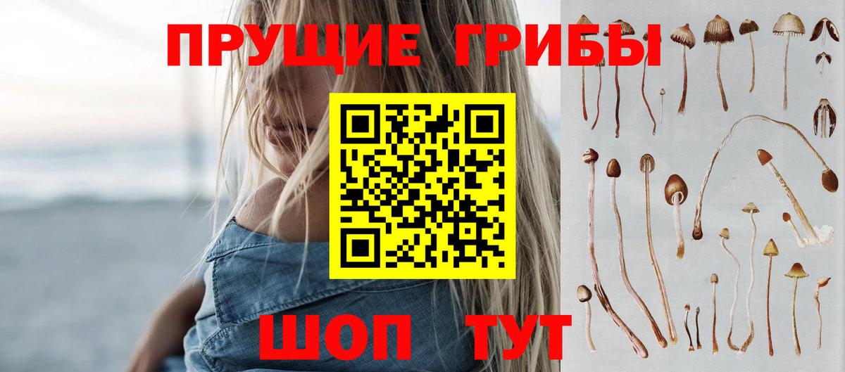 Псилоцибиновые грибы мухоморы Моздок